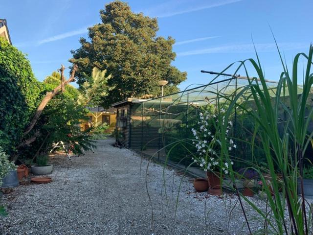 Oostvoornsch Gastenverblijf Acomodação com café da manhã Oostvoorne Exterior foto